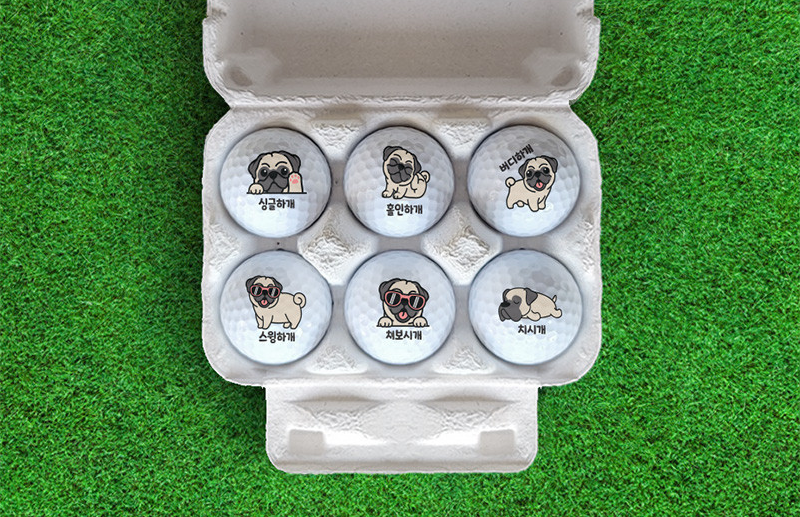 Cute Character Golf Balls 6pcs Set (골프공 6개입 선물세트)