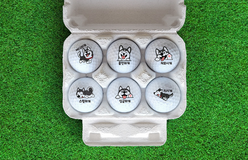Cute Character Golf Balls 6pcs Set (골프공 6개입 선물세트)